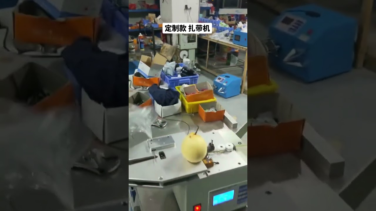 Machine à lier personnalisée : sacs de fruits, glaces et plus, tout se ferme automatiquement