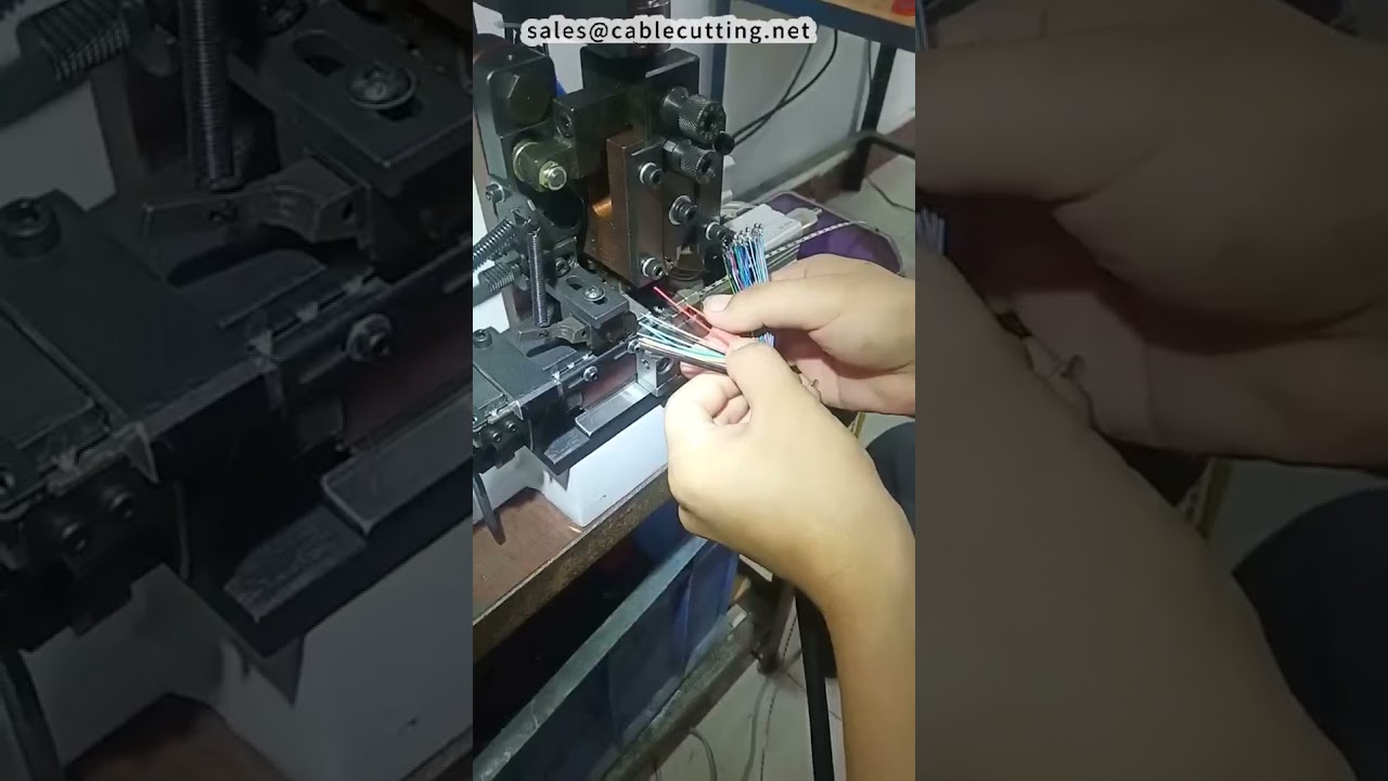 Démonstration de machine à dénuder et à sertir les fils uniques haute vitesse - Câble 40 conducteurs