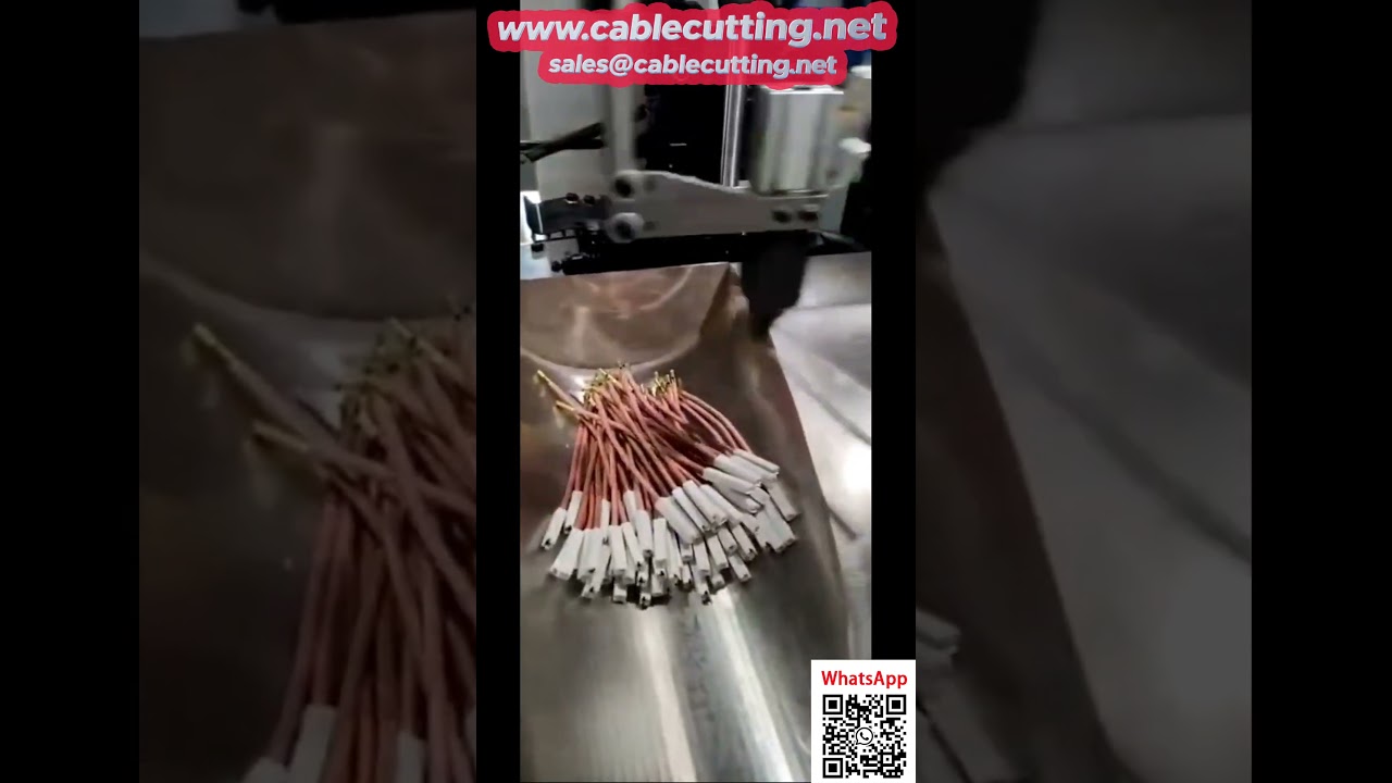 Machine de sertissage automatique double tête avec insertion de boîtier intégrée