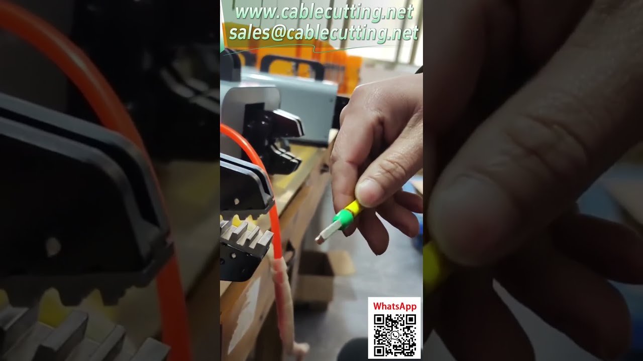Machine à sertir pneumatique 2,5 tonnes - Moule personnalisé pour cosses tubulaires 20 mm - Sertissage avec relief
