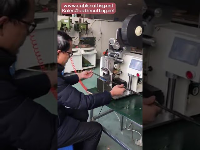 Machine d'enrubannage et de bobinage automatique pour faisceaux de câbles