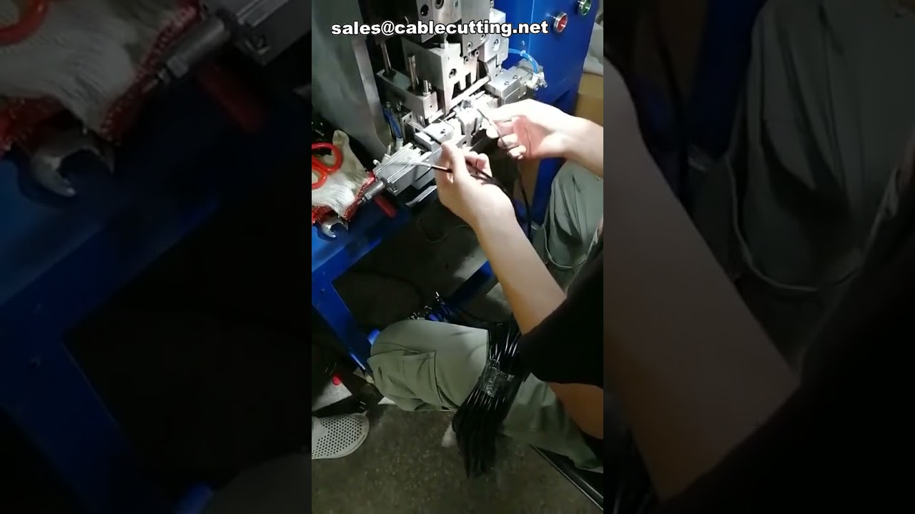 Machine Automatique de Sertissage d'Inserts de Prise Française | Haute Performance