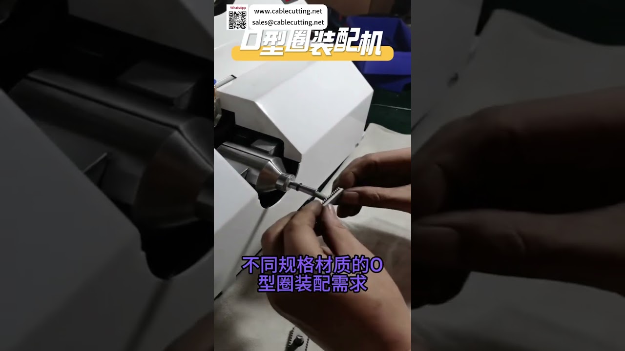 Machine d'assemblage de joints toriques à haute efficacité - Ligne de production d'étanchéité automatisée rapide