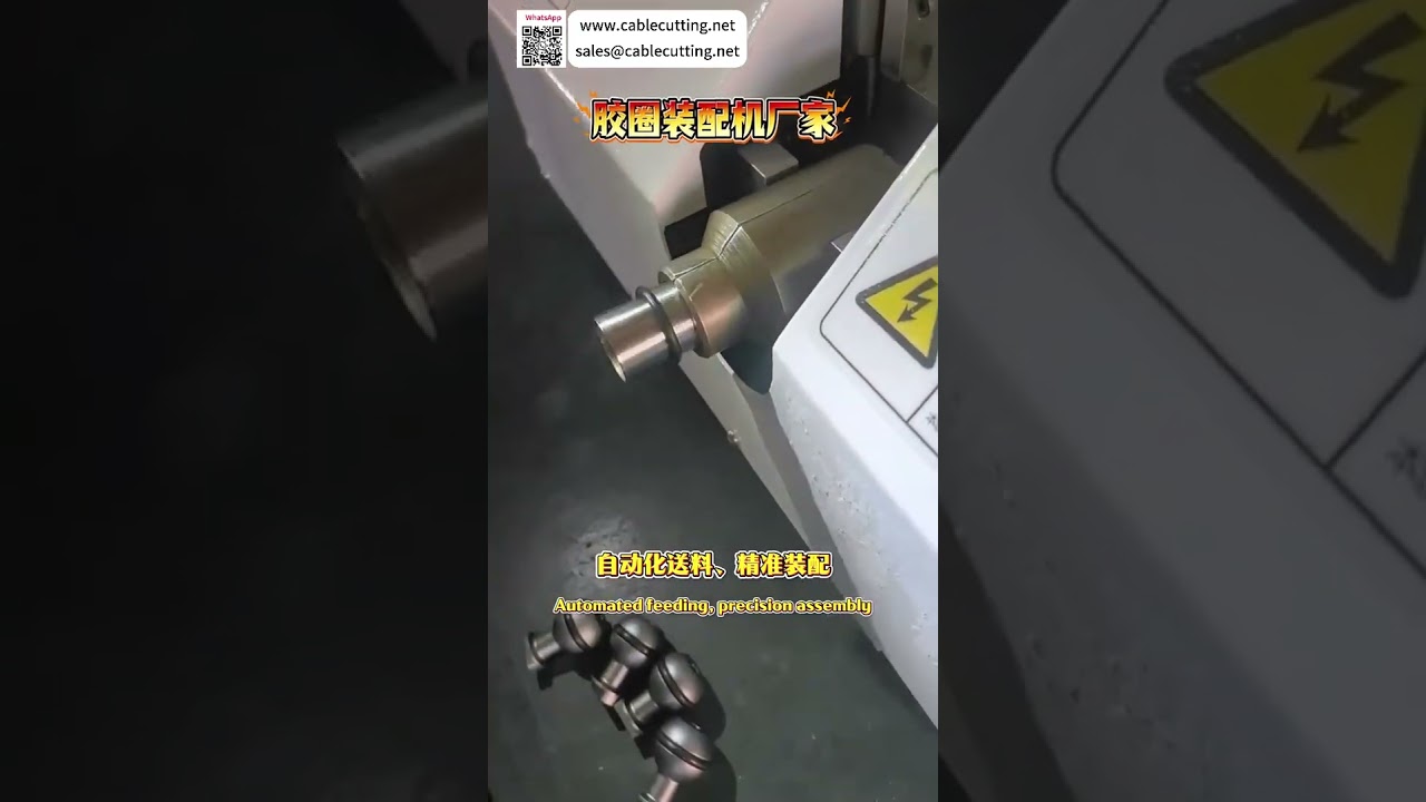 Machine d'assemblage de bagues en caoutchouc haute précision – Équipement automatisé sur mesure