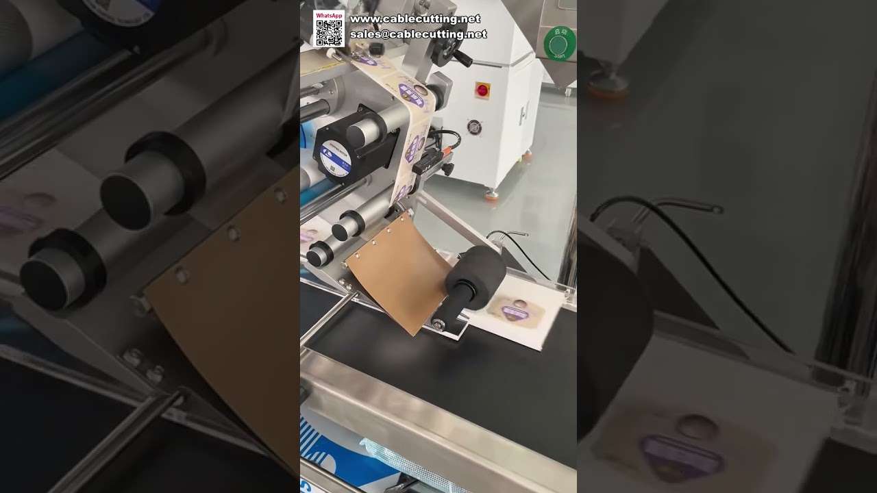 Machine d'étiquetage automatique hautes performances pour surfaces planes - Applicateur fiable pour l'industrie
