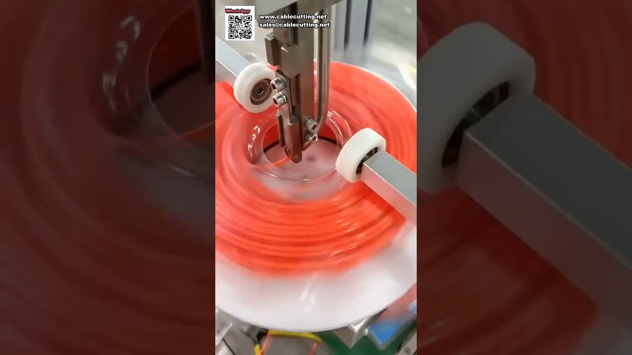 Machine d'emballage sous blister entièrement automatique pour ligne de rognage verticale de bobines de livre