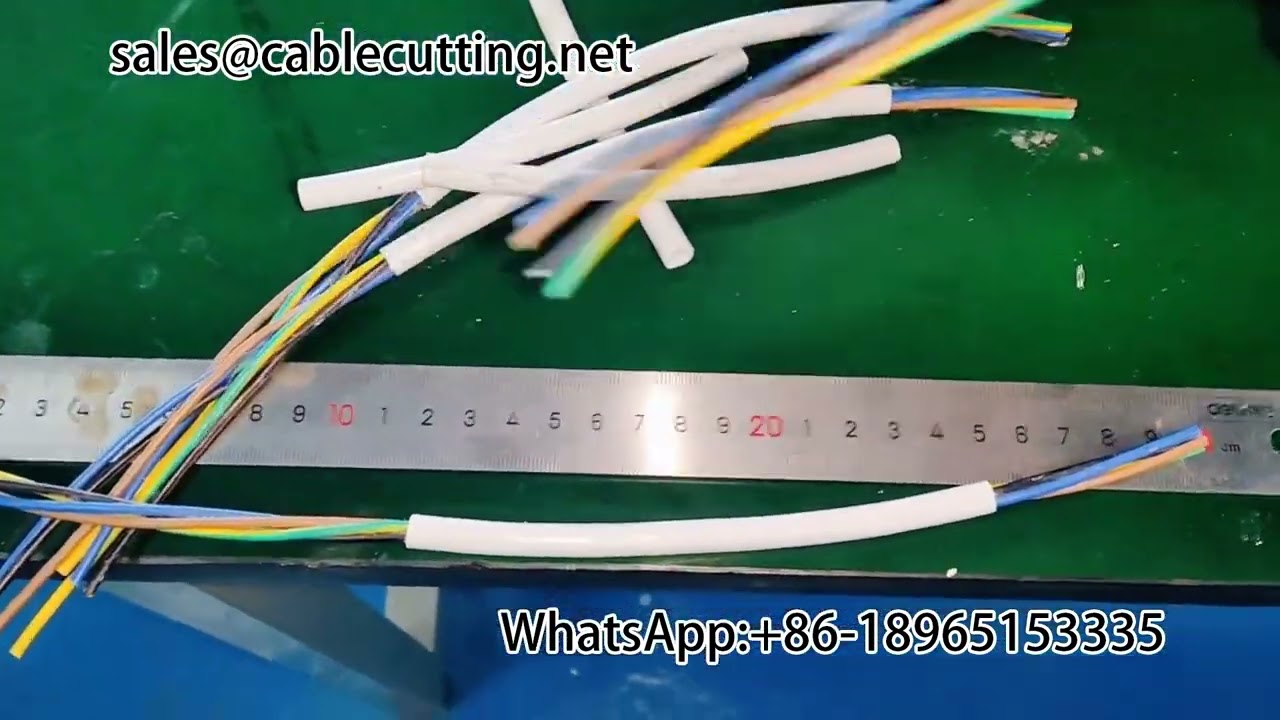 Dénudeuse automatique pour câbles informatiques
