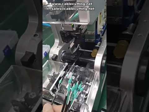 Machine étanche de filetage de boulons : câblage haute vitesse et insertion automatisée