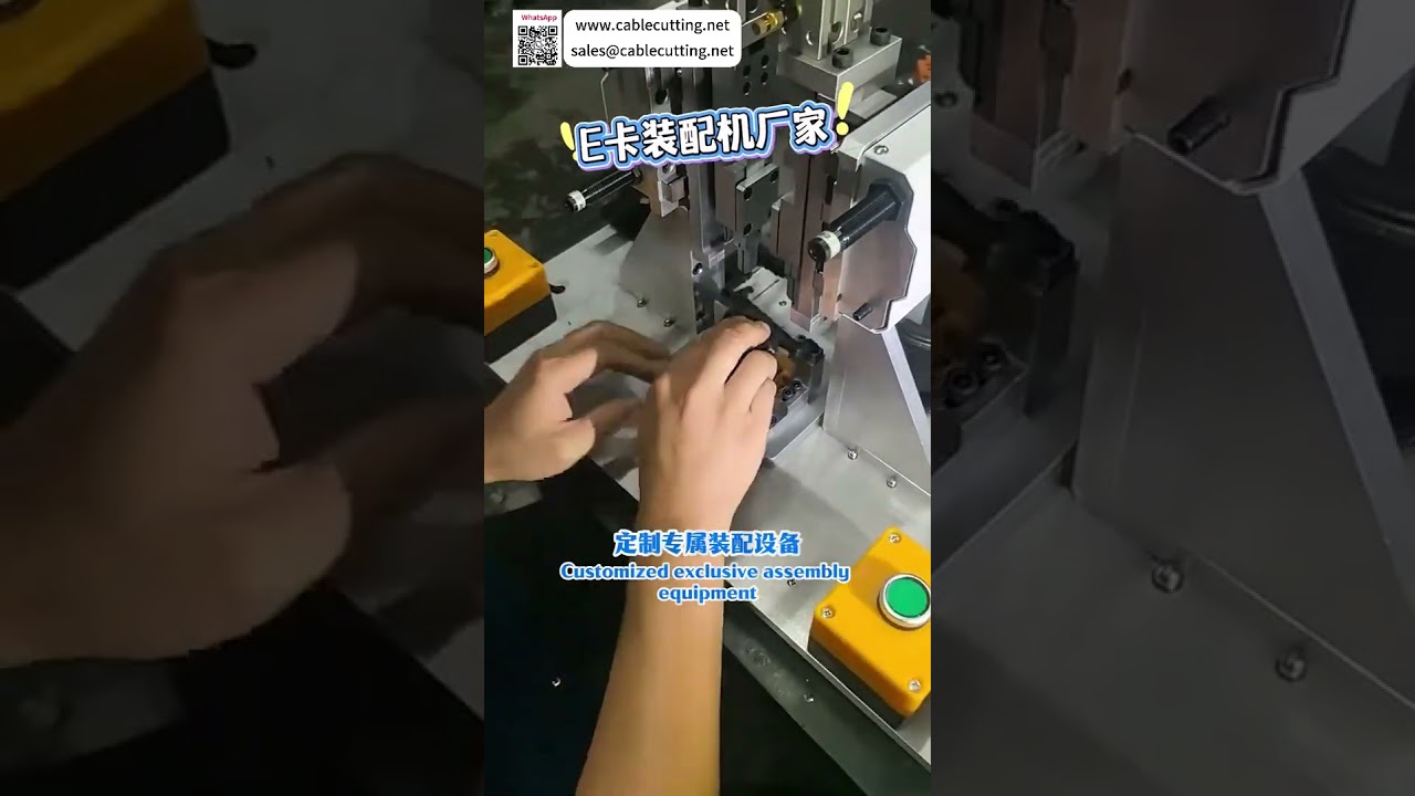 Machine d'assemblage de bagues E sur mesure - Équipement automatique à haute efficacité pour usine
