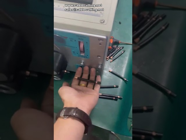Machine de coupe et dénudage de fils 10 mm² : précision et rapidité pour l'automatisation