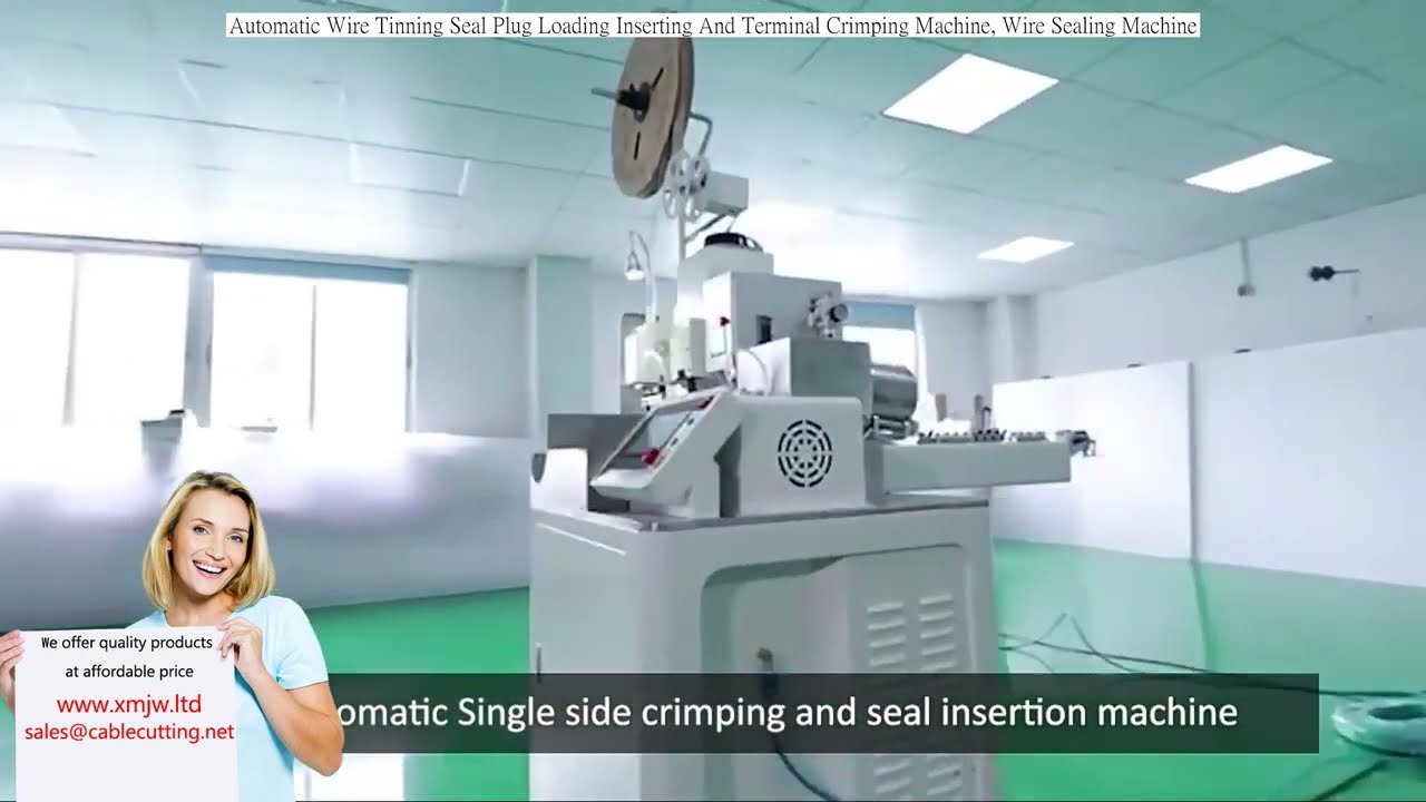 Machine Automatique d'Étamage, Insertion de Bouchon d'Étanchéité et Sertissage de Bornes