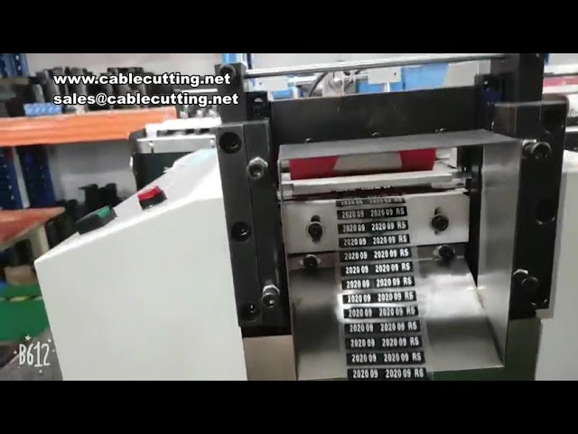 Machine de découpe semi-brisée de mousse automatique – Découpe EVA précise pour l'emballage