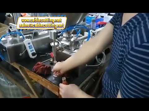 Machine de remplissage pour produits visqueux : détergent, yaourt, sauce - double tête, 10ml à 5000ml