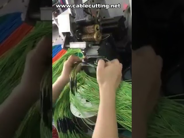 Machine à enrubanner les fils et câbles | Vente de machines d'emballage industrielles