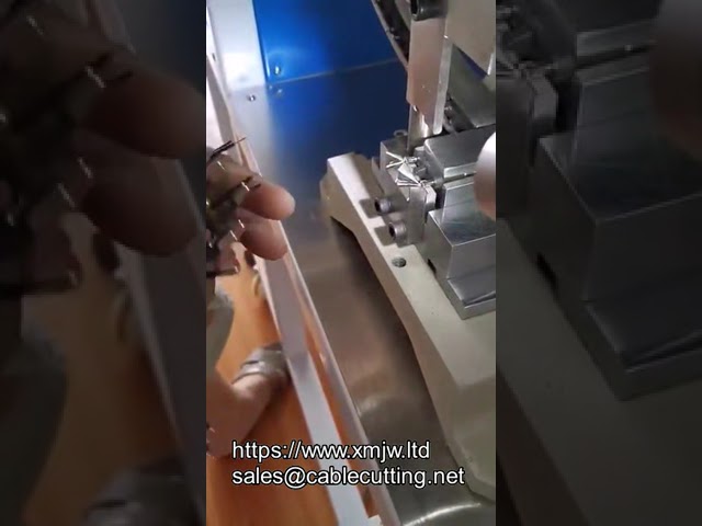 Machine de sertissage semi-automatique pour fiche 2 broches
