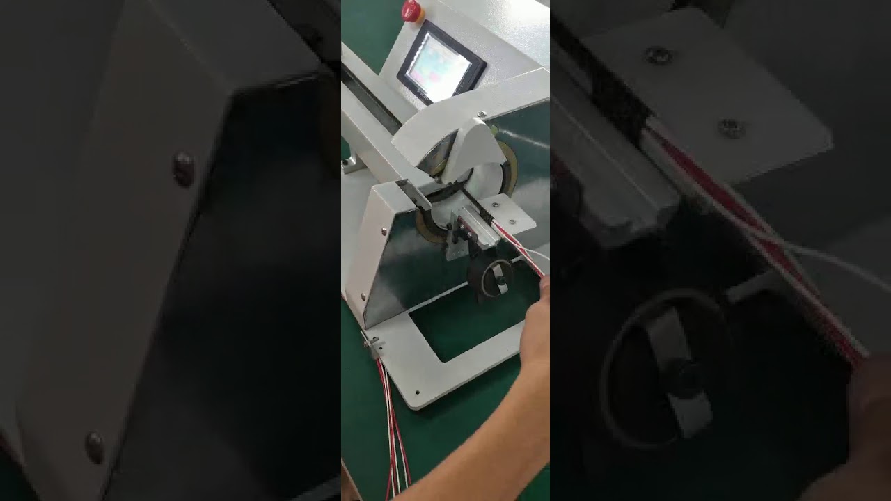 Machine d'emballage par bobinage avec fil de tirage WPM 303K 1 - Automatisation performante