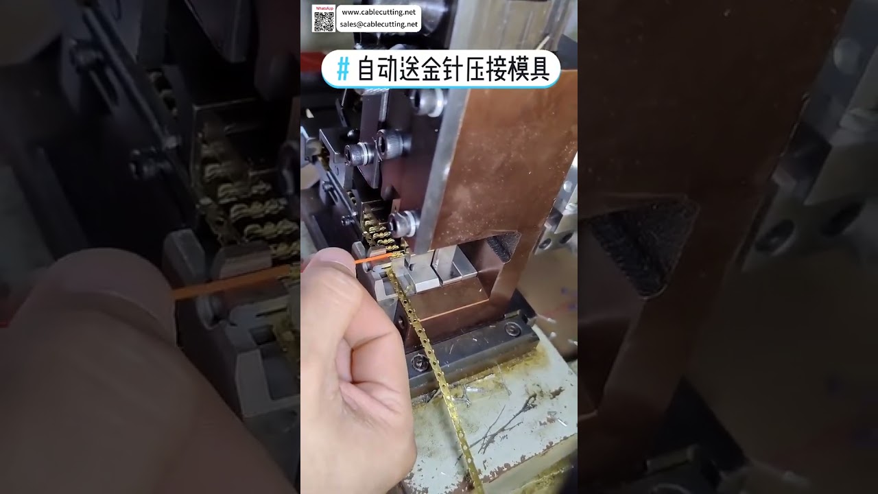 Machine de traitement de connecteurs RJ réseau - Alimentation automatique de broches dorées pour faisceaux de câbles
