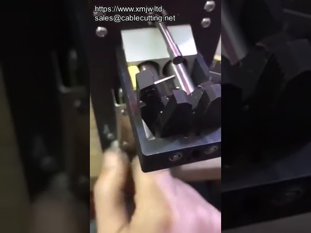 Electr Stripper