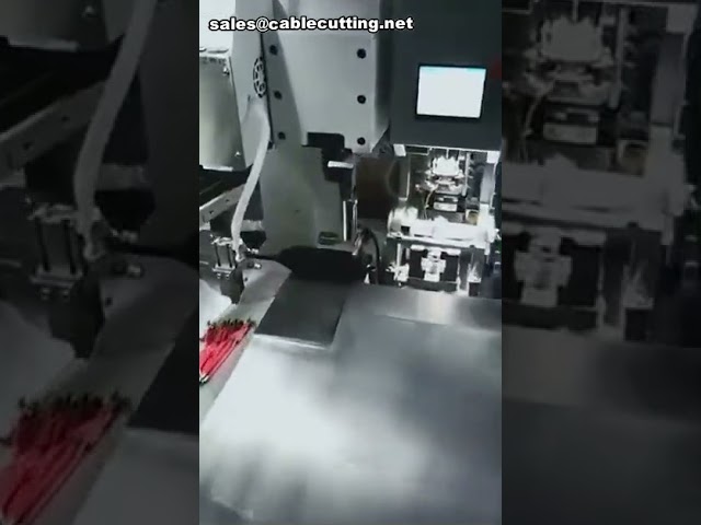 Machine à boulons étanches automatique double tête pour câbles électriques | Machine double tête filaire