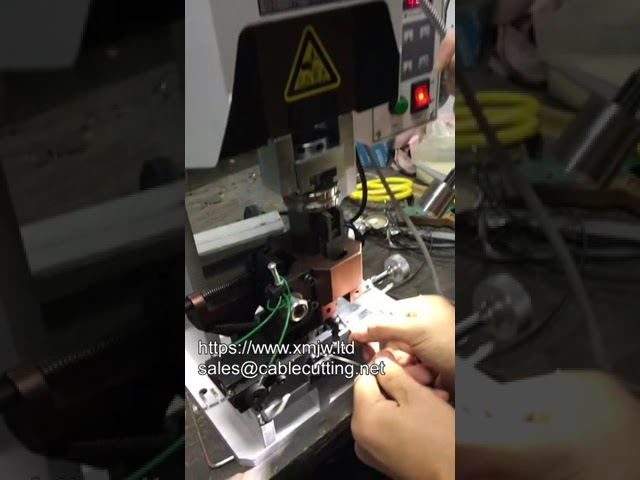 Machine de sertissage de connecteurs Molex - Équipement industriel performant