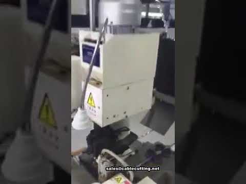 Machine de dénudage et sertissage automatique à une tête pour câble 8mm²