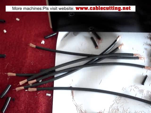 Machine de dénudage et coupe de câble coaxial (WPM-09S)