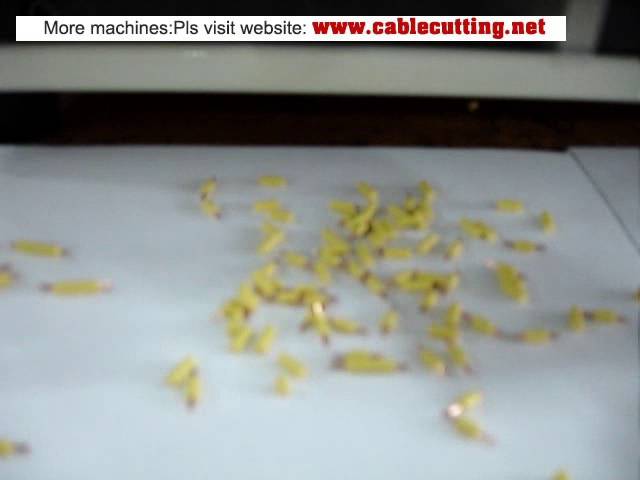 Machine à dénuder et couper les fils fins (WPM-09C) | Pour fils de 0,1 mm² et longueur minimale de 10 mm