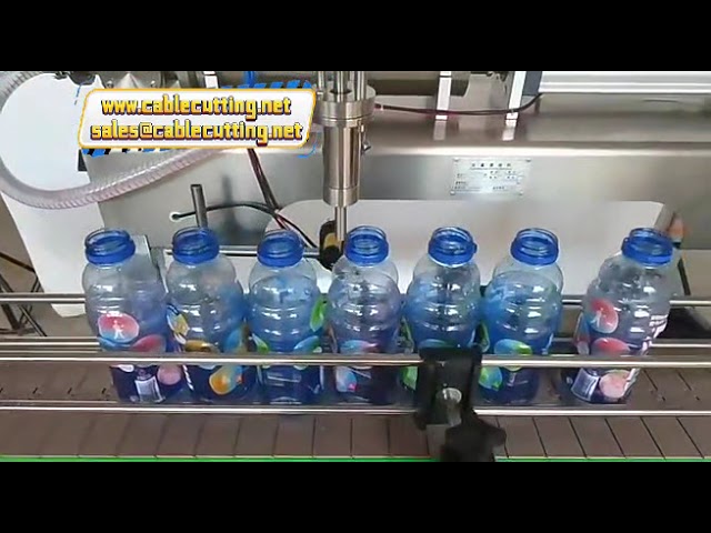 Machine de Remplissage Automatique pour Miel, Crèmes, Ketchup, Sauce et Eau - Ligne d'Assemblage Complète